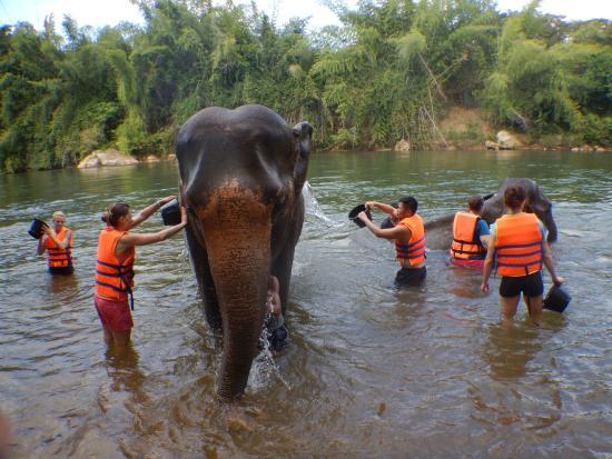 Elephant Nature Park